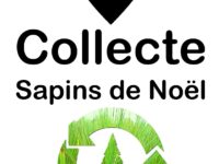 COLLECTE SAPINS DE NOËL